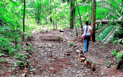 Panamá en el Patrimonio Mundial de la Unesco