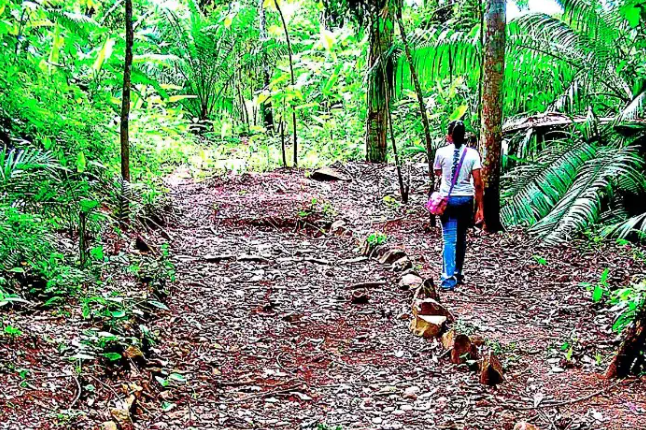 Panamá en el Patrimonio Mundial de la Unesco